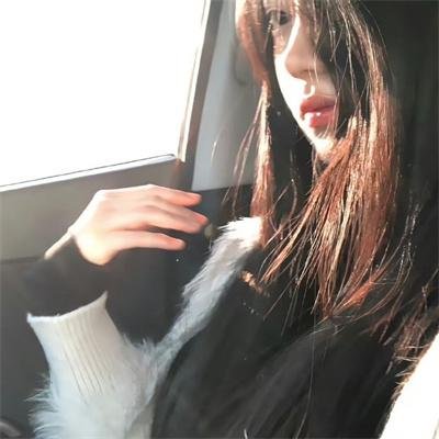 小鸟之翼第二季